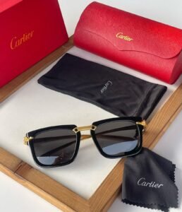 Cartier Branded First Copy Sunglass - INDIAN BOX