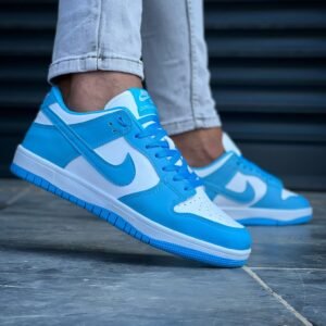 Nike Dunk Low 7A Quality Shoe